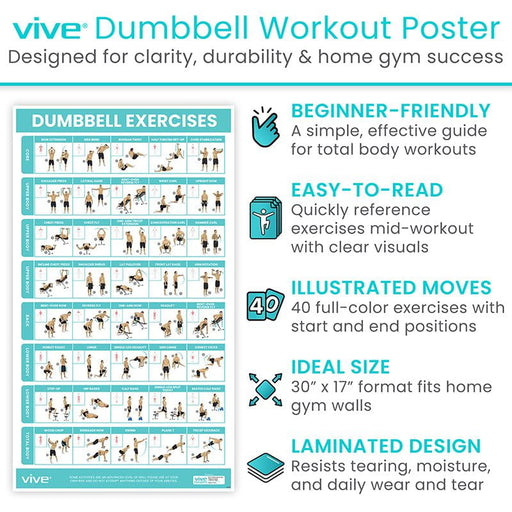 Vive Dumbell Workout Poster