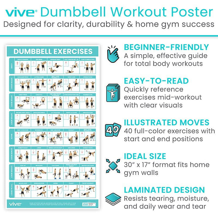 Vive Dumbell Workout Poster