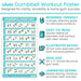 Vive Dumbell Workout Poster