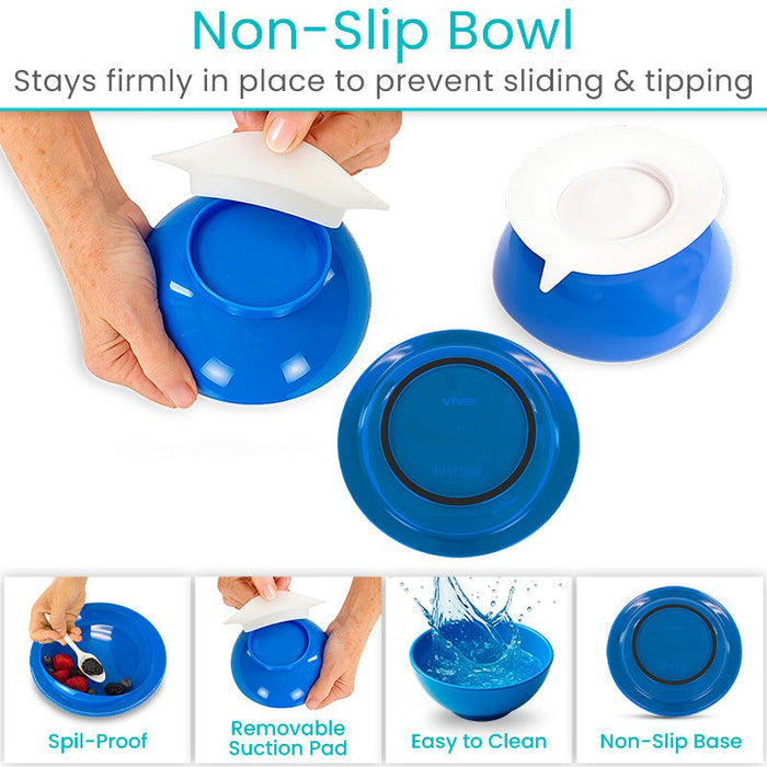 Non-Slip Bowl