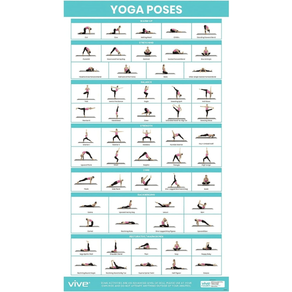 Amazon.com: Sportaxis Yoga Poses Poster- 64 Yoga Asanas for Full Body  Workout- Laminated Home workout Poster with Colored Illustrations - English  and Sanskrit Names - 18