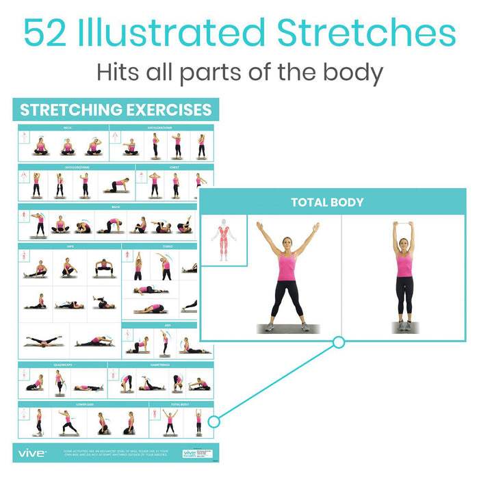 Stretching Workout Poster 52 Exercises — Vive Health
