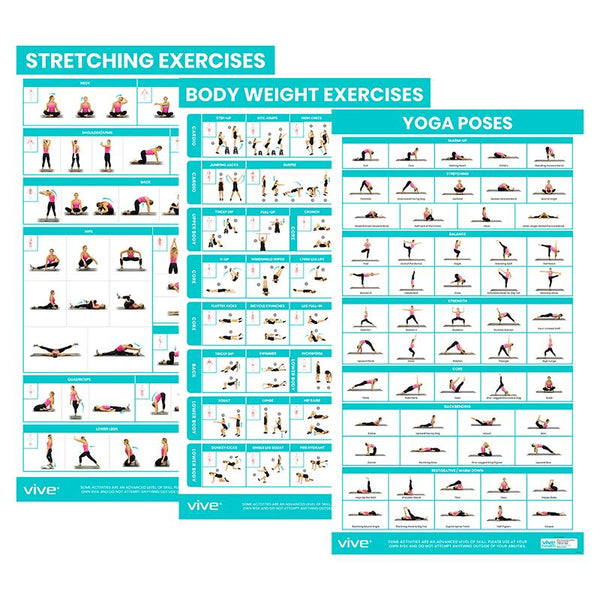 Vive Yoga Poster - Poses for Beginners and Experts - Mat Exercise Home Gym  Workout Accessories Set- Double Sided Laminated Flow Chart Accessory 