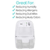 Great For: Reducing Humidity, Reducing Allergens, Reducing Dust Mites, Reducing Musty Odors