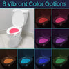 8 Vibrant Color Options